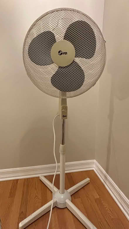 Photo of free Fan - standing (Brantwood Park) #1