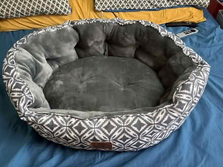 Photo of free Pet bed for cat or small dog (Hackney E8) #1
