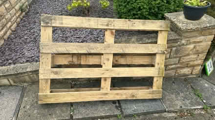 Photo of free Wooden pallet (BD16) #1