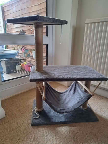 Photo of free Cat tree and cat bed (Upper Walmer CT14) #1