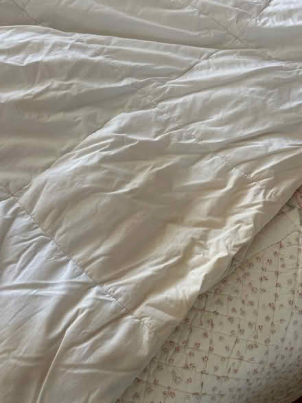 Photo of free Single duvet #3 (KT13) #4