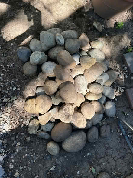 Photo of free Cobble rocks 30-40 (Ygnacio in blvd + oak grove) #1