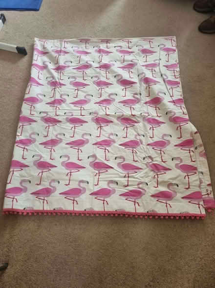 Photo of free Roman Blind (Enfield EN1) #1