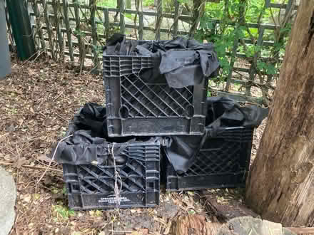 Photo of free 3x lined milk crate planters (Davis) #1