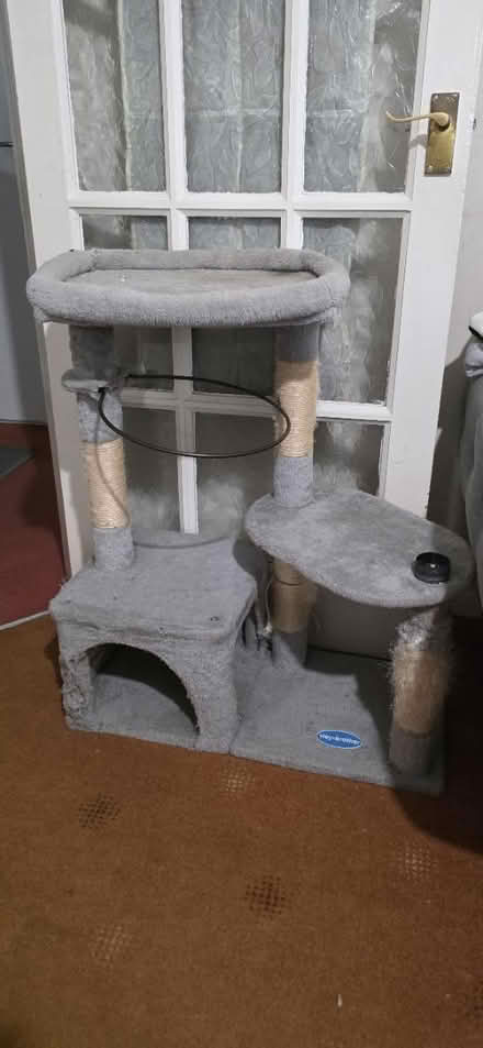 Photo of free Cat tree LUTON (Luton LU2) #1