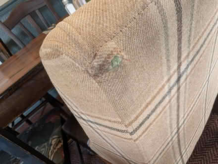 Photo of free Chairs x 16 (Saxton LS24) #4