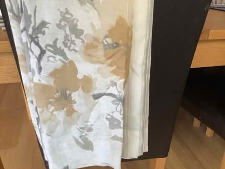 Photo of free Curtains (Hextable BR8) #2