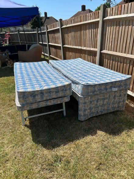 Photo of free Trundle single bed (Lee SE12) #1