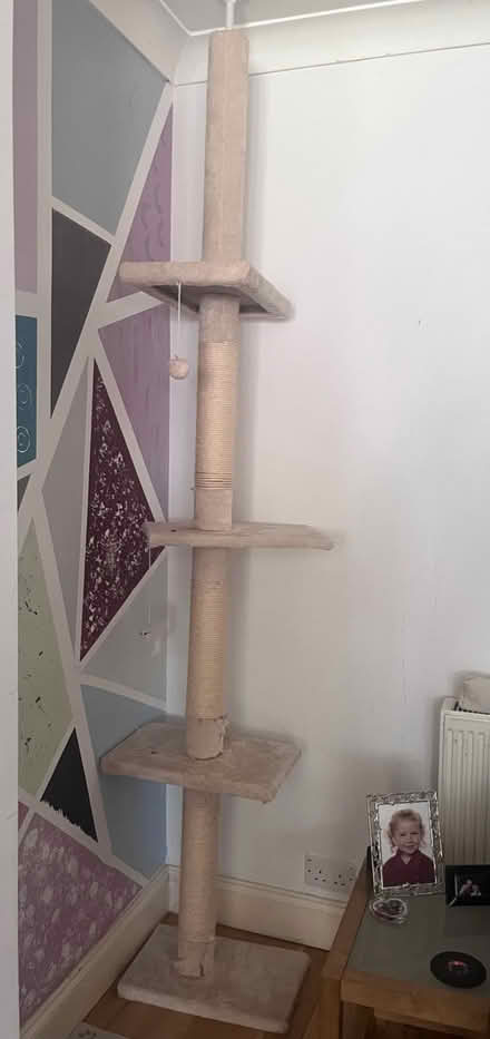 Photo of free Cat post/tree (North cheam SM3) #1