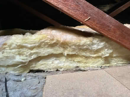 Photo of free Loft Insulation (Cumdivock) #1