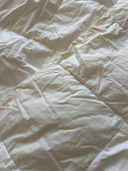 Photo of free Single duvet #3 (KT13) #3