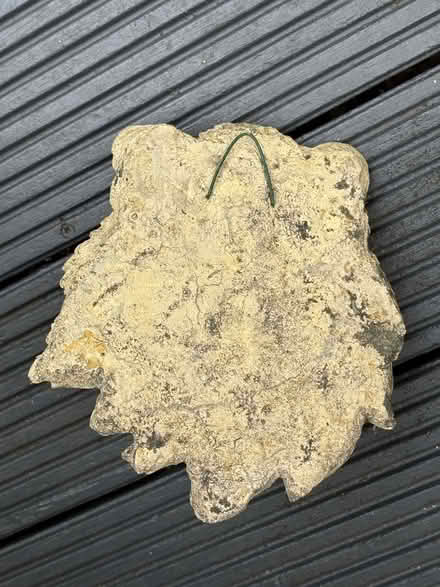 Photo of free Stone lion’s head (Winchester SO22) #3