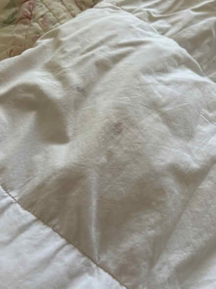 Photo of free Single duvet #3 (KT13) #2