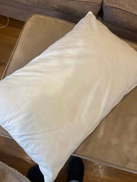 Photo of free Pillow medium softness (KT13) #2