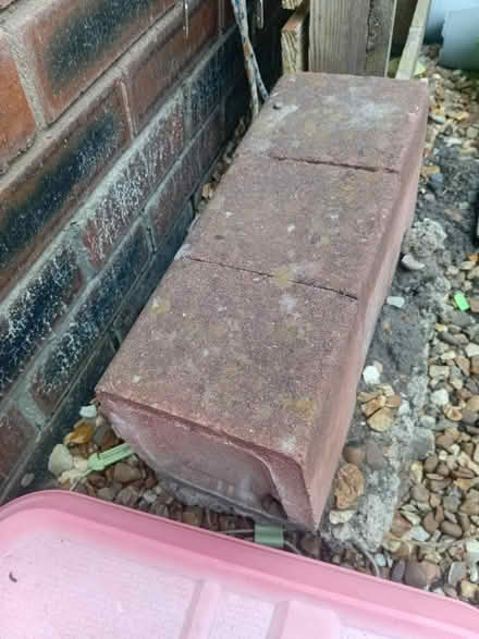 Photo of free Edge bricks (L18) #2