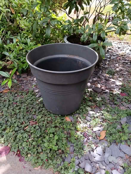 Photo of free Large, black garden pot (Ladywell SE13) #1