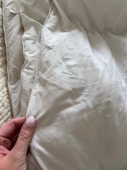 Photo of free Single duvet (KT13) #3