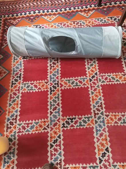 Photo of free Cat tunnel (193 Sylvan St, Malden, MA) #1
