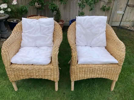 Photo of free Garden Room Chairs (Caldecott OX14) #2