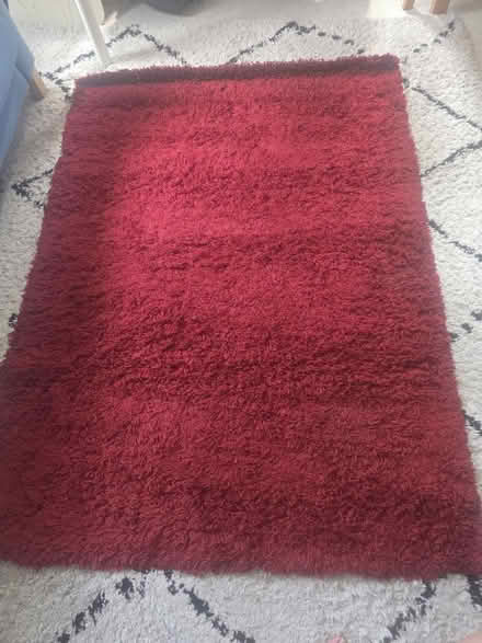 Photo of free RUG (Wimbledon SW19) #1