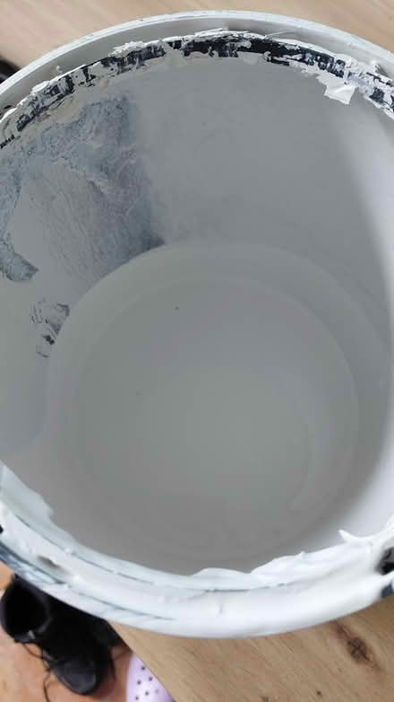 Photo of free Pale grey paint (Sheffield S12) #3