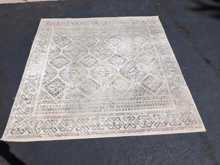 Photo of free Grey and Ivory Area Rug (Buckingham, PA 18902) #2