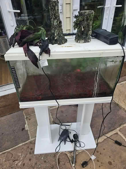 Photo of free Fish Tank Full Kit (Christchurch bh23) #2