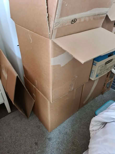 Photo of free Large packing boxes (Hartington Road BN2) #1