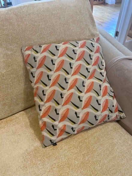Photo of free Cushion (KT13) #1