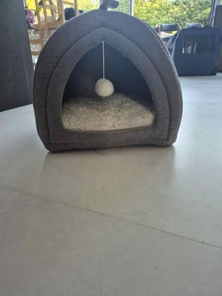 Photo of free Cat /kitten bed (Lingfield RH7) #1