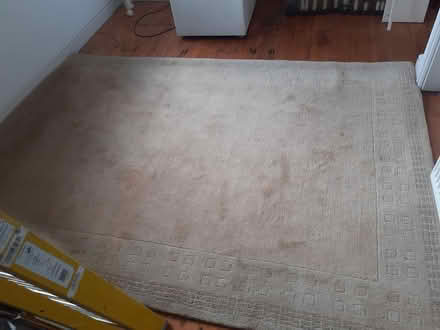 Photo of free Large rug (Long Whatton LE12 5) #1