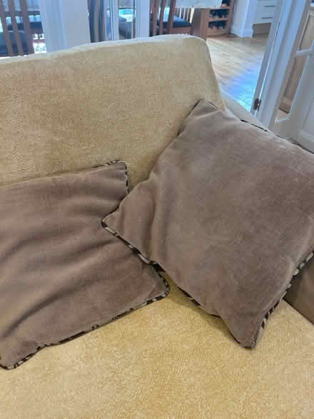 Photo of free Set of 4 cushions (KT13) #3