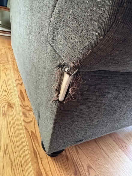 Photo of free Fabric couch and loveseat (Castro Valley) #3
