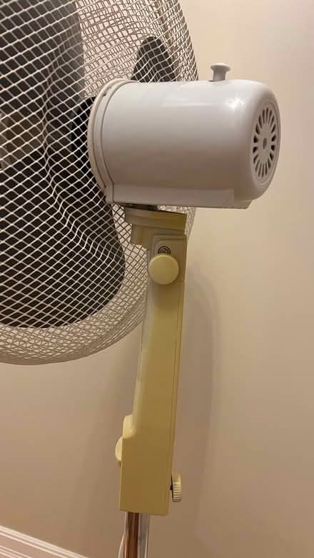 Photo of free Fan - standing (Brantwood Park) #3