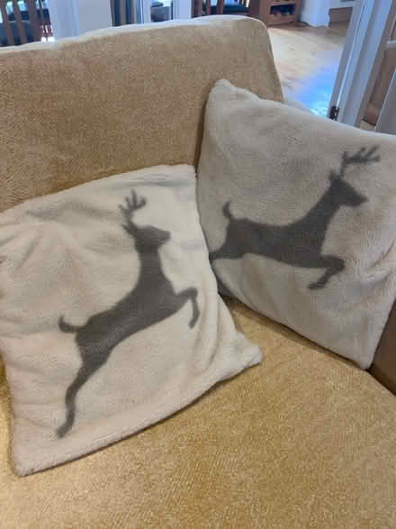 Photo of free Set of 2 cushions (KT13) #1