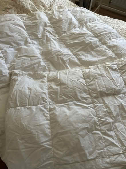 Photo of free Single duvet #3 (KT13) #1