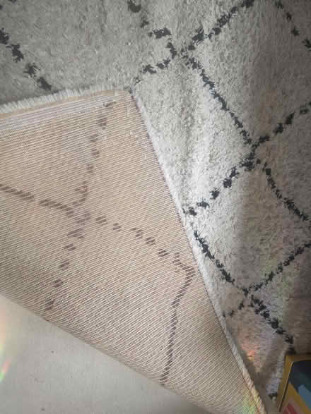 Photo of free Large rug (Wimbledon SW19) #3