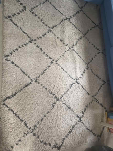 Photo of free Large rug (Wimbledon SW19) #1