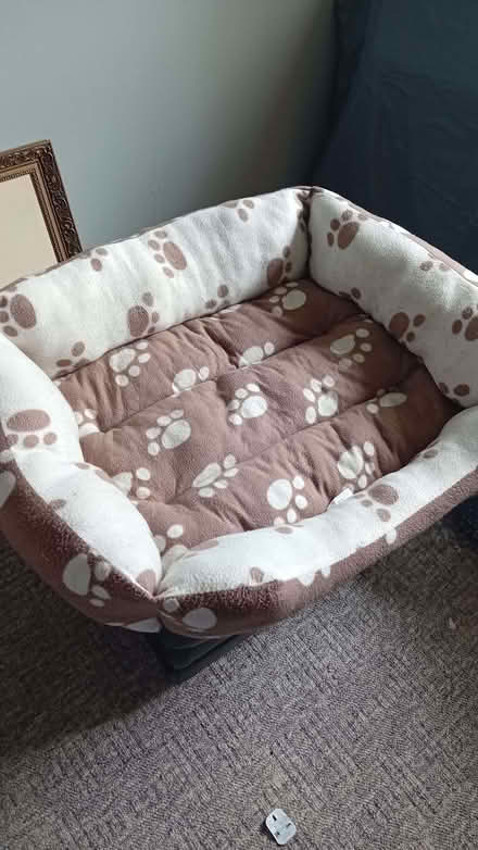 Photo of free Large dog bed (Hilton IV2) #1