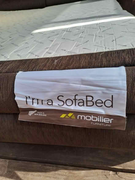 Photo of free Sofa with fold out bed (Central Albury) #2