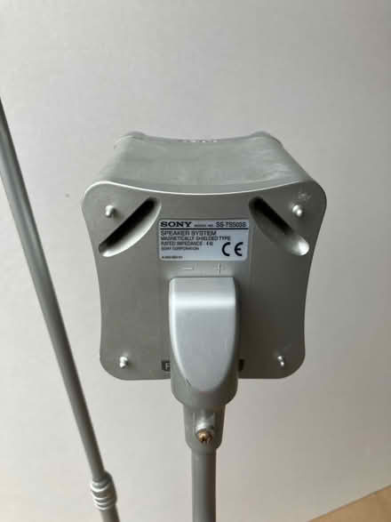 Photo of free Pair of Sony TS503S speakers with stands (Wellington TF1) #2
