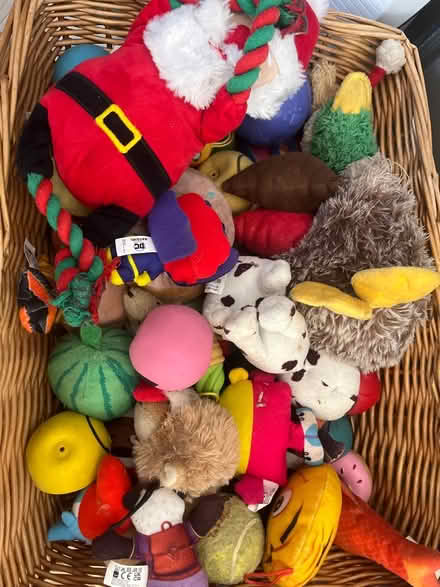 Photo of free soft toys / dog toys (Weston super Mare BS23) #1