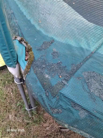 Photo of free Trampoline 12' (TW10 Ham) #3