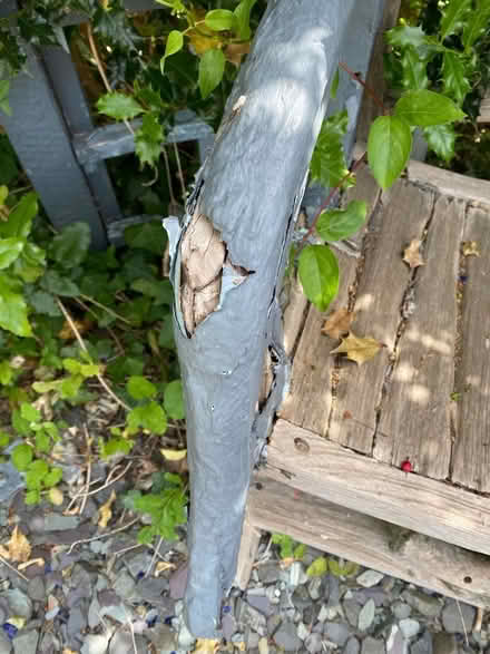 Photo of free Old wooden seat (Wymondley Park SG4) #3