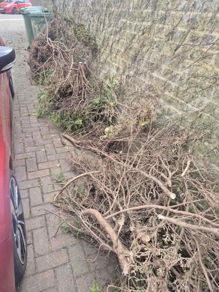 Photo of free Wood (Bletchley MK2) #2