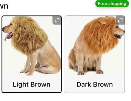 Photo of free Dog dress up lion main (CH62 bromborough) #1