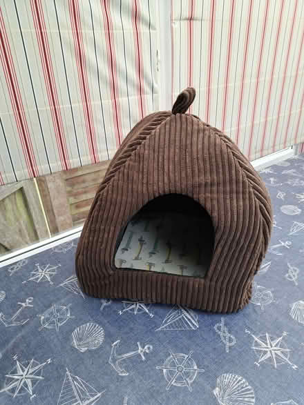 Photo of free Cat tree and cat bed (Upper Walmer CT14) #2