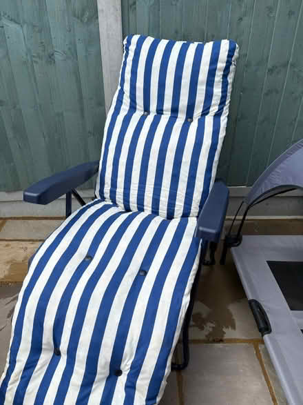 Photo of free Garden items (Witham CM8) #1