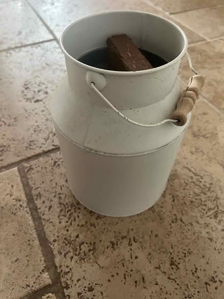 Photo of free Sweet pea growing kit (Bath, BA2 (Riverside)) #1