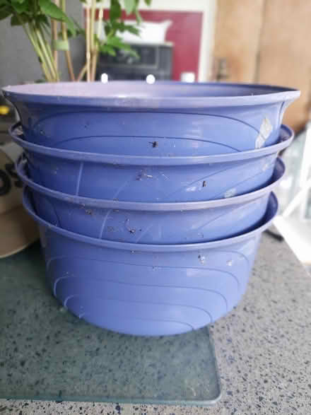 Photo of free Plant pot (SW16) #1